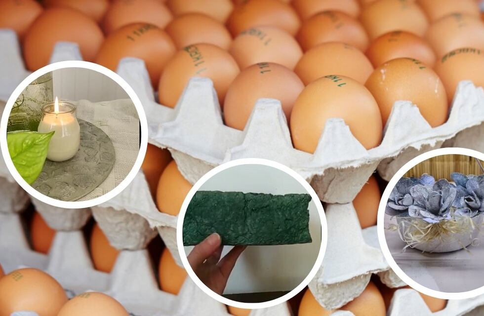 No solo para los mosquitos: 3 ideas para reciclar al máximo maples de huevos