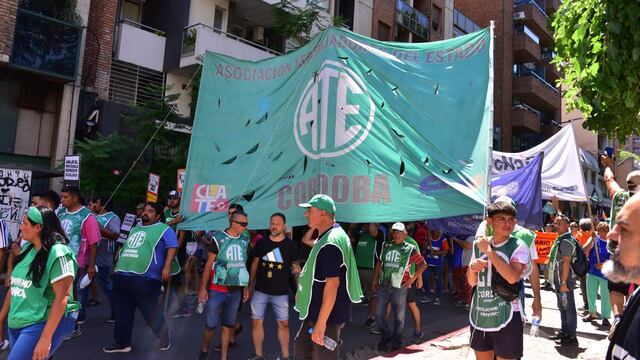 Ate Córdoba y los otros gemios de los trabajadores de la Salud, en plan de lucha (archivo La Voz).