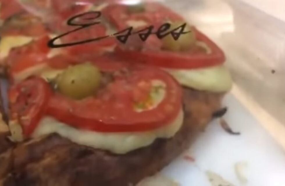 ¡Que asco! Encontraron cucarachas en una conocida pizzería porteña