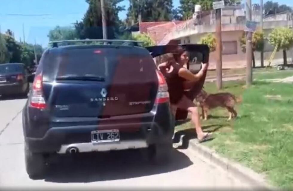 Un perro corrió por 15 cuadras atrás de la familia que lo abandonó