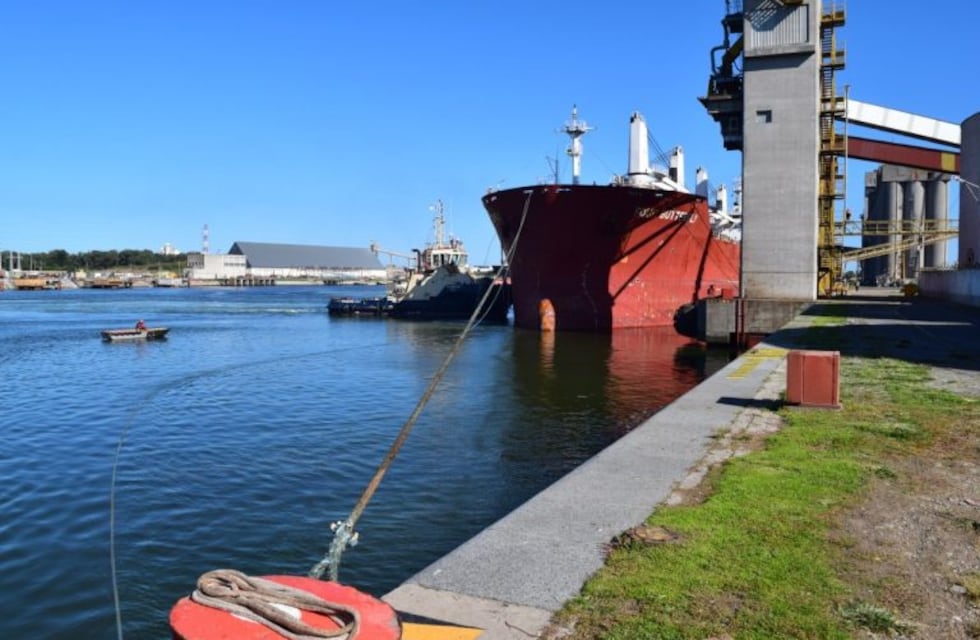 Puerto Quequén recupera la carga de semillas de girasol