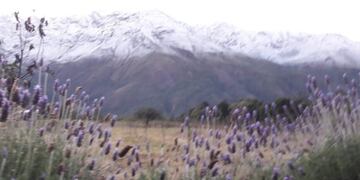 Montañas vestidas de blanco, en Jujuy