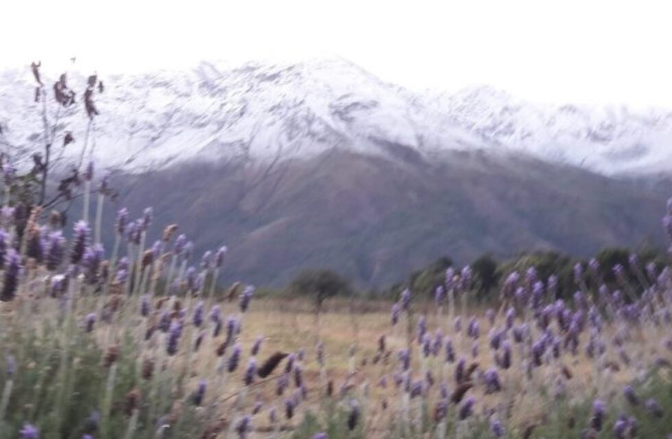 Desde Bárcena, postales que celebran el Día del Medio Ambiente