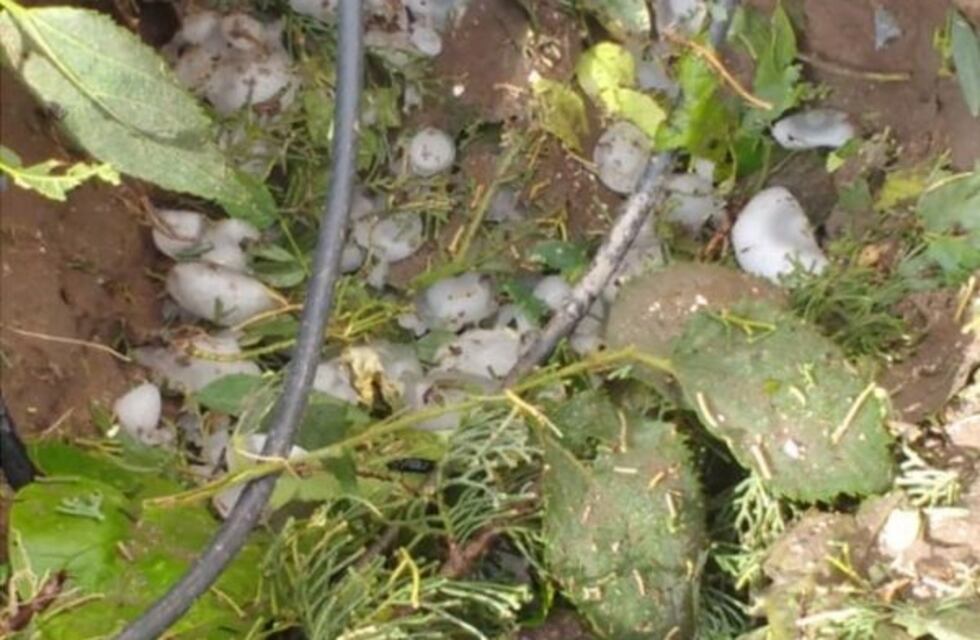 El temporal afectó fuertemente al interior de San Luis