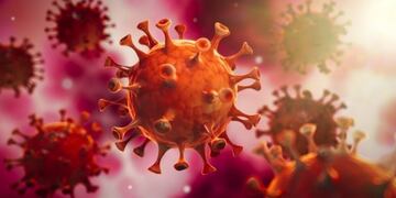 Coronavirus\u002E