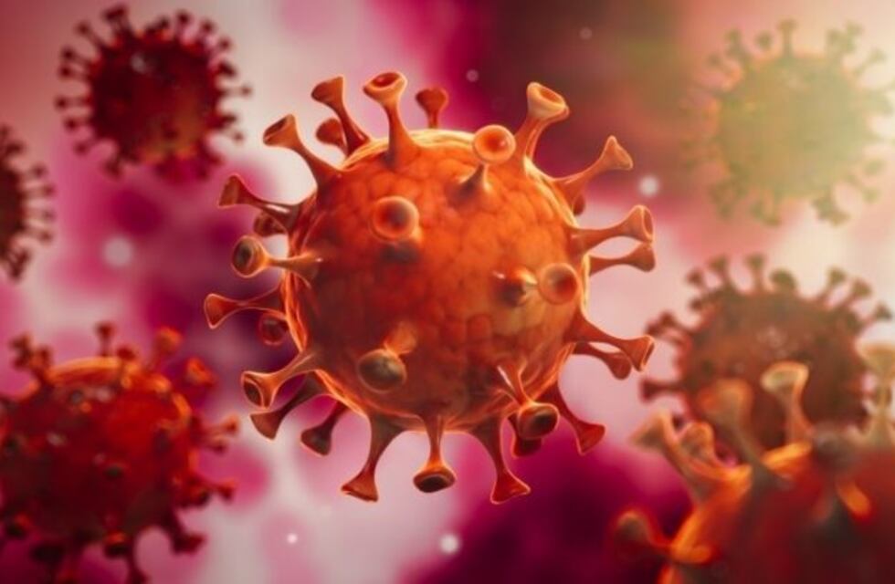 Coronavirus: tres casos nuevos en Córdoba y el total llega a 354