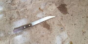 Imagen ilustrativa\u002E