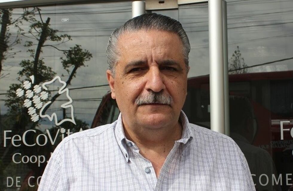 Fecovita "brindó" por la tasa cero para el vino