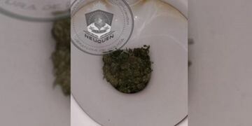 Un joven arrojó marihuana al inodoro y lo tapó\u002E