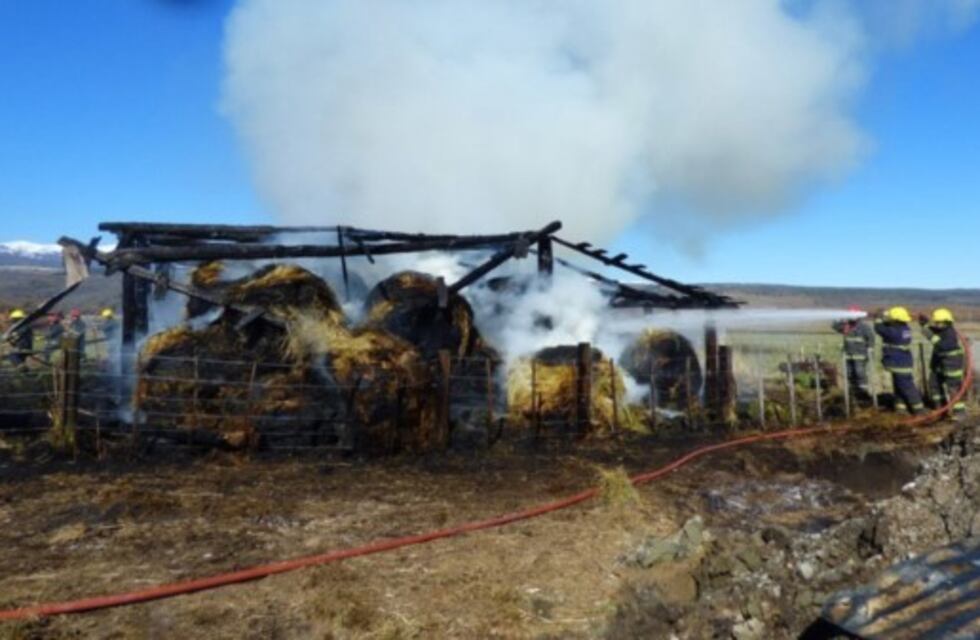Una rata en llamas habría causado un incendio en un galpón de posturas