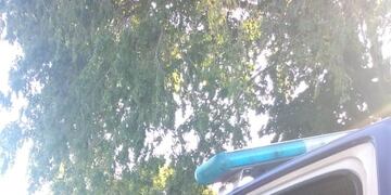 Despeñaderos: un joven detenido por ser el autor del robo de un comercio