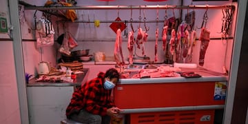 El 31 de diciembre China avisó a la Organización Mundial de la Salud (OMS) de 27 casos de esta enfermedad (Foto: Hector RETAMAL / AFP)