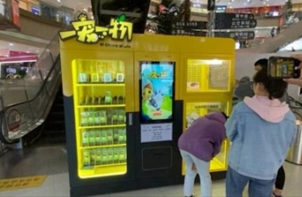 Una máquina expendedora en China ofrecía gatos y perros reales como premio y generó indignación