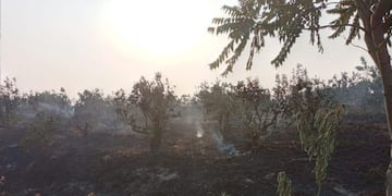 Trabajaron en conjunto bomberos de la policía y voluntarios\u002E