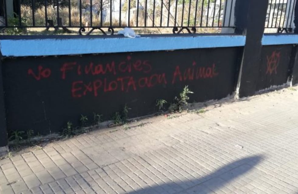 Grupo vegano escrachó parte del mural de Belgrano y los hinchas explotaron de bronca
