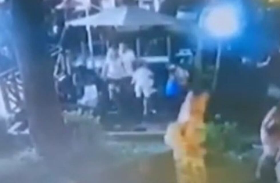 Un video registró el golpe que le dio en la cabeza un pino a una pequeña niña en Costa del Este