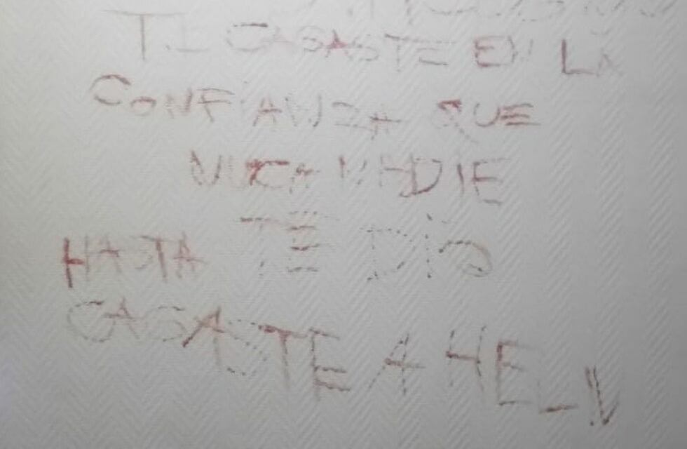 El calvario de Camila que se hizo viral: su ex la molió a golpes y hasta le dejó un mensaje escrito con sangre