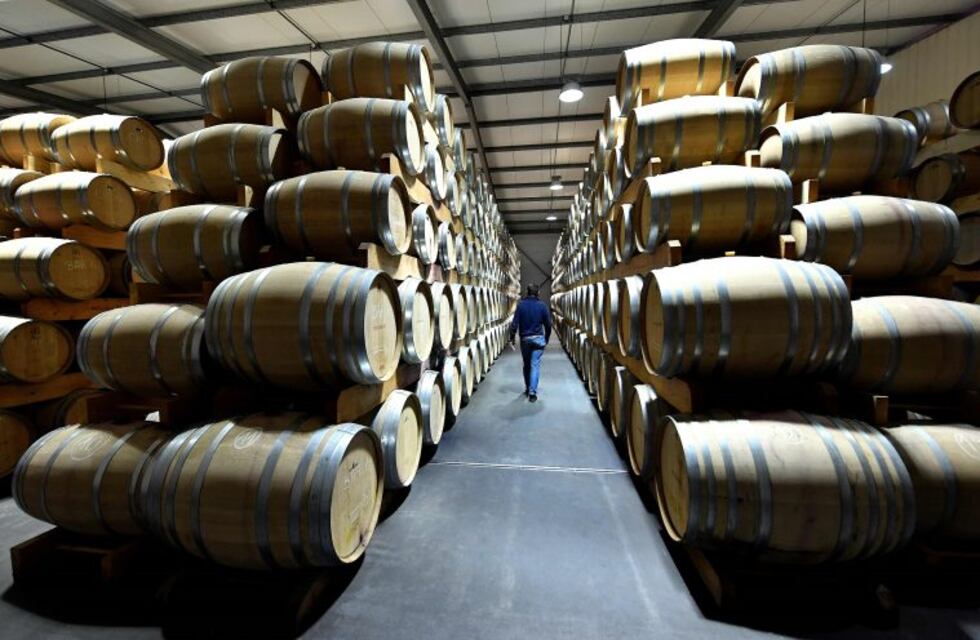 Referentes de 50 países se reunirán en Mendoza para compartir experiencias sobre el vino