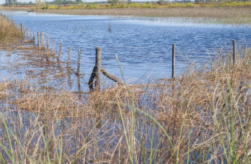 La lluvia dio una tregua, pero el agua sigue subiendo en Melincué