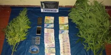 Gracias a denuncias web desbarataron una banda narco