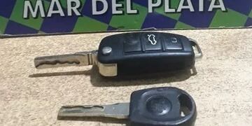 Detuvieron a dos ladrones de autos, padre e hijo, que usaban un inhibidor (Foto: Diario La Capital)