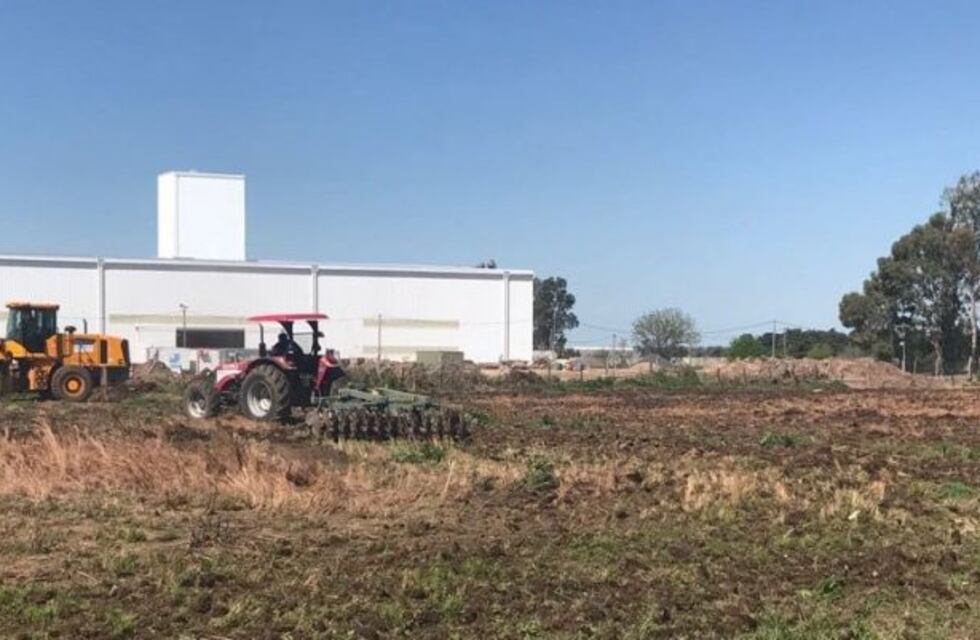 Desmalezan campos linderos a la Autopista Rosario - Santa Fe para frenar a los tira piedras