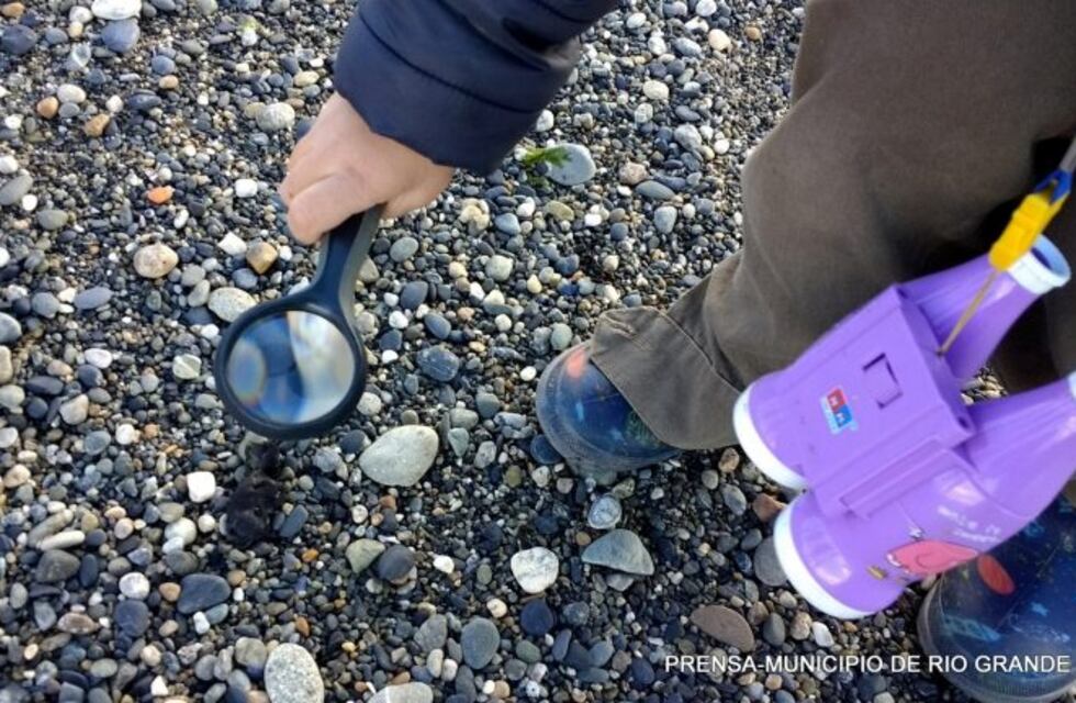 Esta abierta la inscripción para participar del 4° Taller de Naturaleza Costera