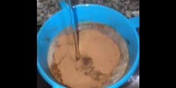 El horroroso hallazgo (Web)