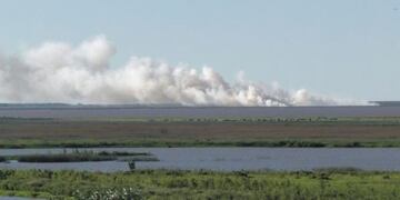 Piden entrevista con Bergman ante la quema de pastizales