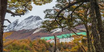 Bosque Nativo Fueguino
