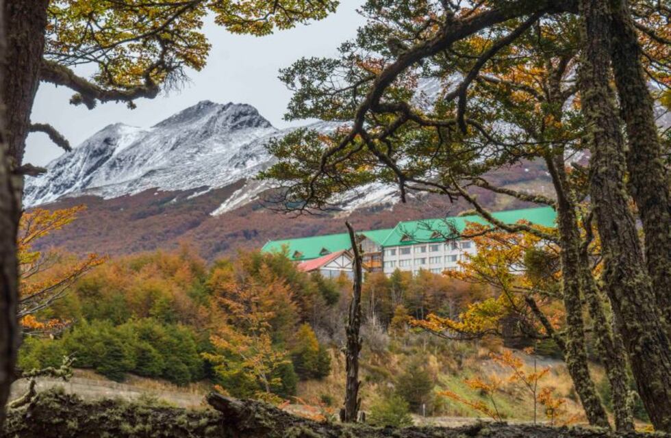 La Secretaría de Medio Ambiente financió proyectos relacionados a la conservación de bosques nativos