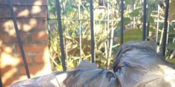 Iguazú: piden responsabilidad con los residuos, luego de que un recolector tuviera un accidente con una jeringa