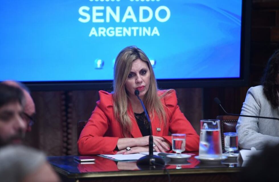 El martes, el Senado comienza a tratar el proyecto de Snopek