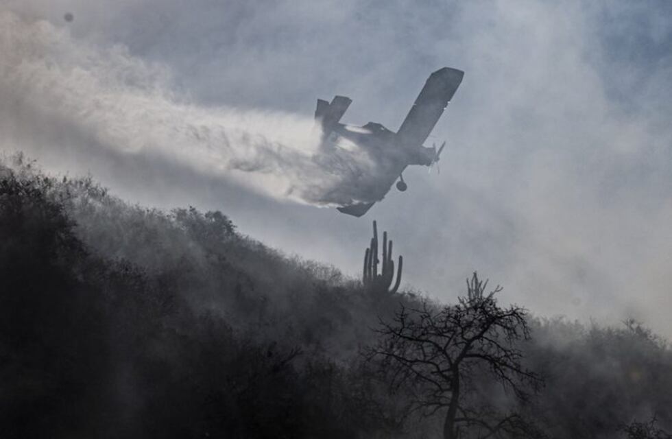 Lograron controlar el incendio forestal en la Quebrada de Moreira