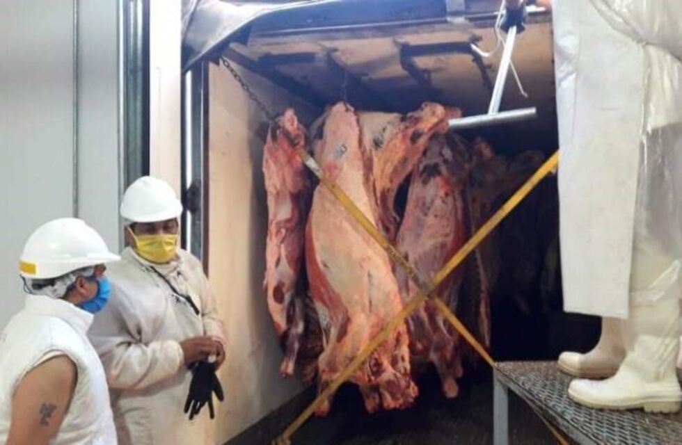 Repartirán carne decomisada entre familias carenciadas