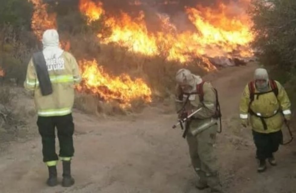 Viento Zonda: piden a la comunidad no encender fuego para vitar desastres