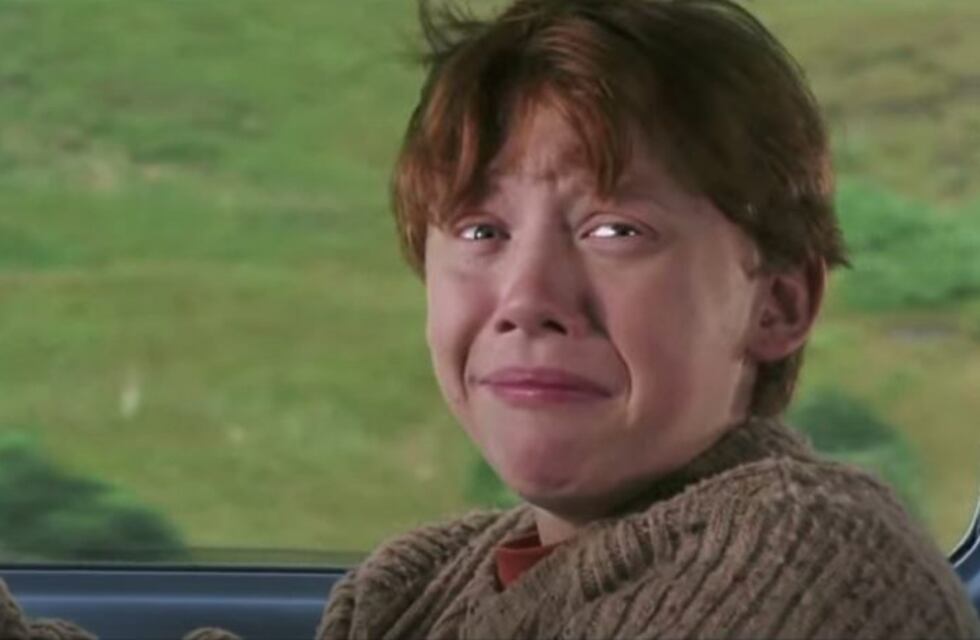 Viral: publican la foto de una araña que tiene cara de perro