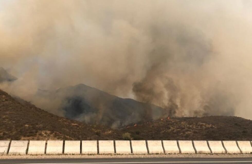 En fotos: el fuego arrasó con el monte nativo en Las Jarillas