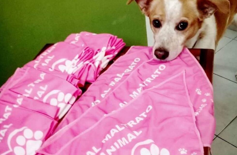 ¡El que faltaba! Llegó el pañuelo rosado, en contra del maltrato animal