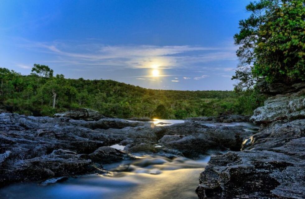 En Arroyito habrá charlas virtuales por el Día Mundial del Medio Ambiente