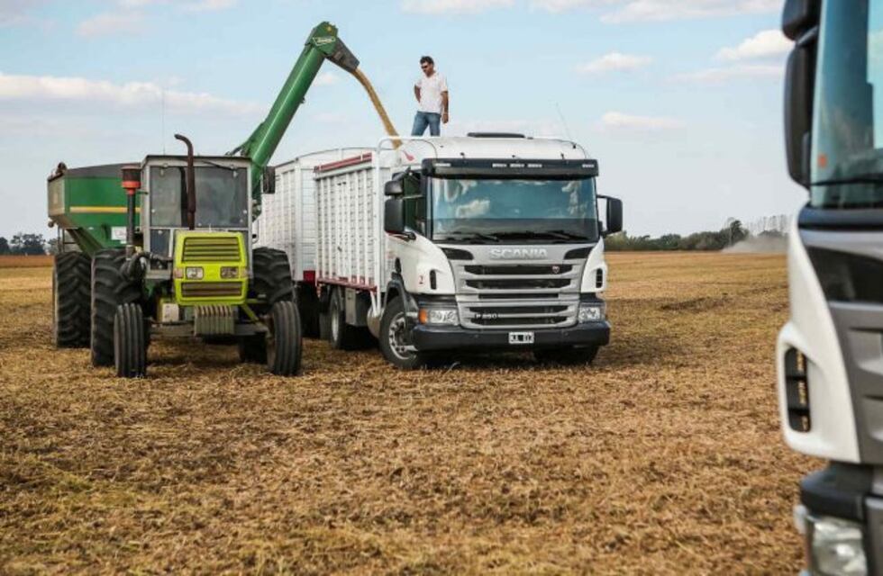 La cosecha gruesa de Córdoba movilizará u$s 1.136 millones en fletes y gasoil