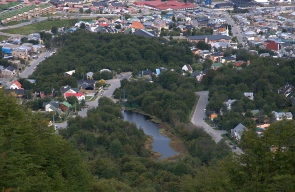 Laguna del diablo: ¿Futuro jardín botánico?