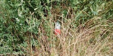 La granada estaba activa y debieron hacerle detonar\u002E (El Informante)