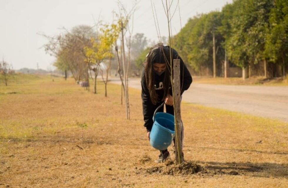 Punta Alta: Cordón Forestal contra la contaminación de la petroquímica
