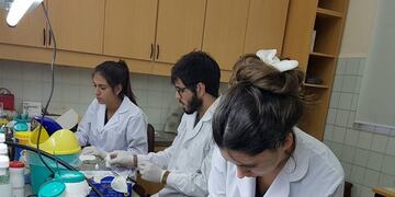 Científicos de la UNNE obtuvieron 95 becas