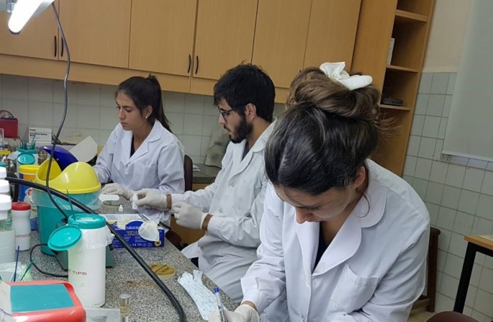 Científicos de la UNNE obtuvieron 95 becas