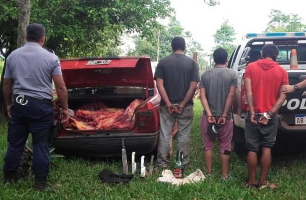 El robo de ganado, un delito que acecha los campos misioneros
