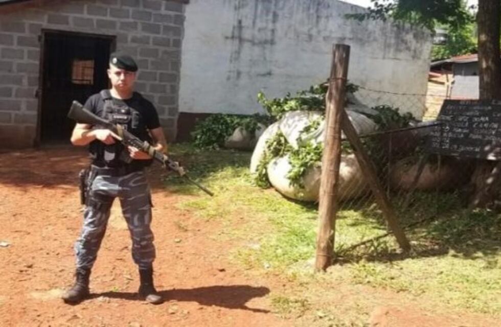 Detuvieron a tres hombres con 1700 kilos de yerba robada