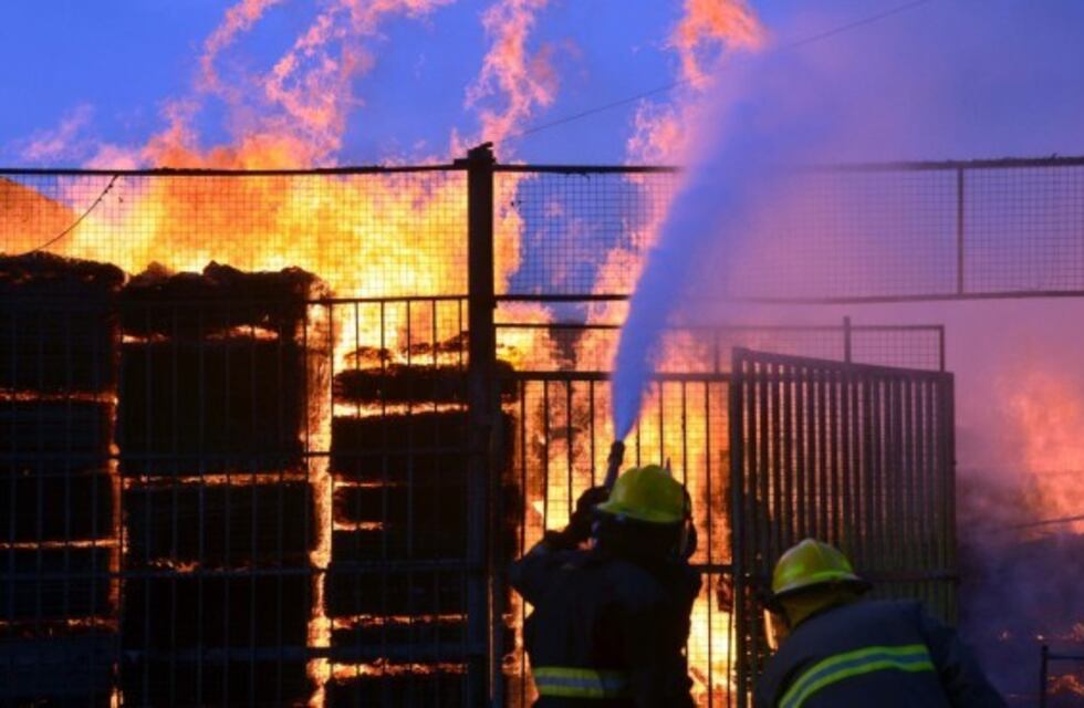 Un incendio consumió una maderera del Bajo neuquino