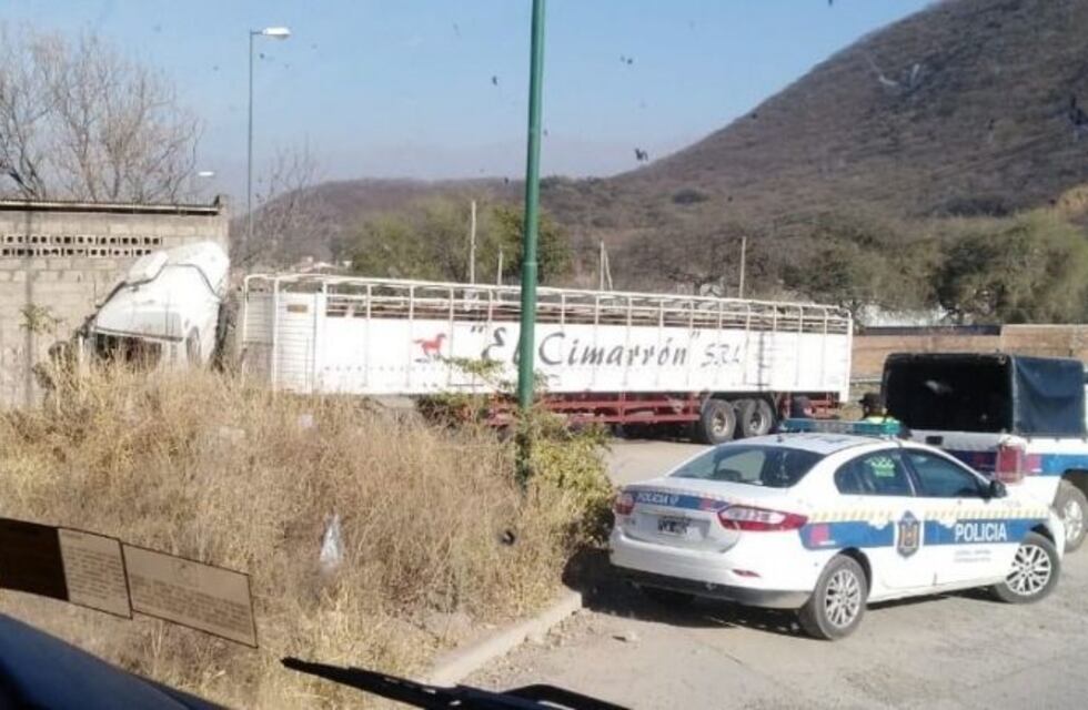 Un camión con ganado chocó contra un paredón en el acceso a Salta